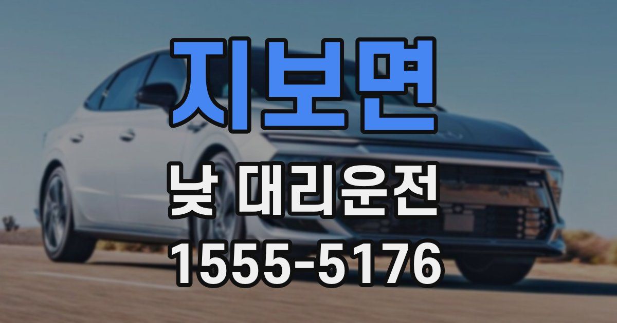 지보면 낮 대리운전