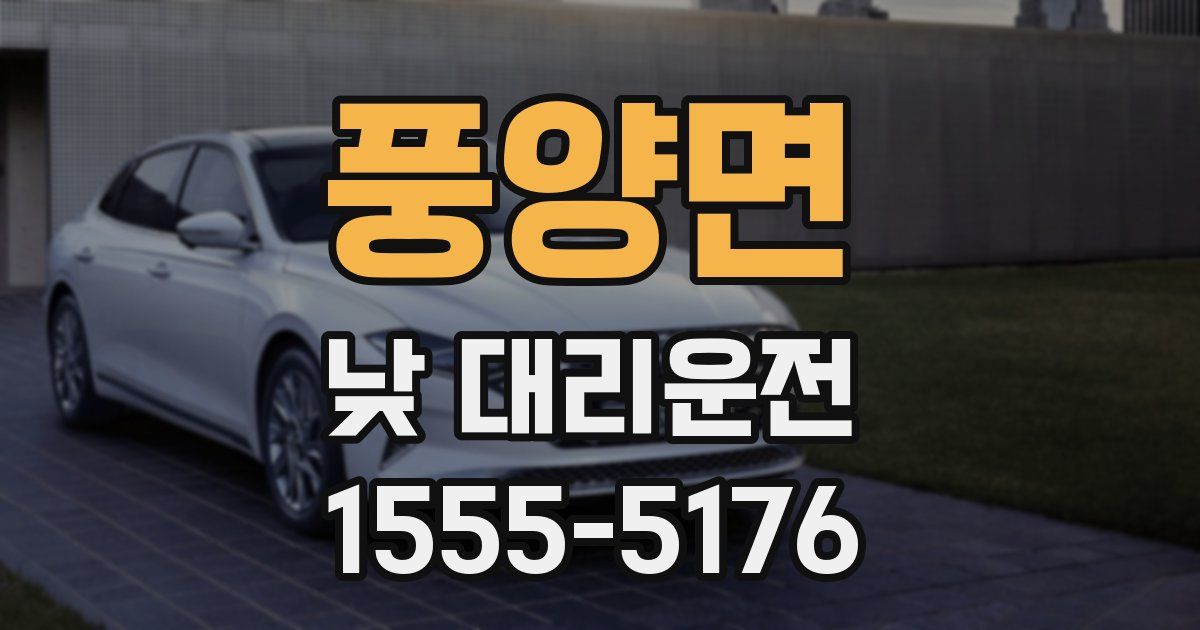 풍양면 낮 대리운전