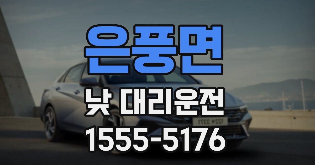 은풍면 낮 대리운전