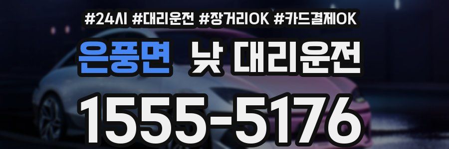 은풍면 낮 대리운전