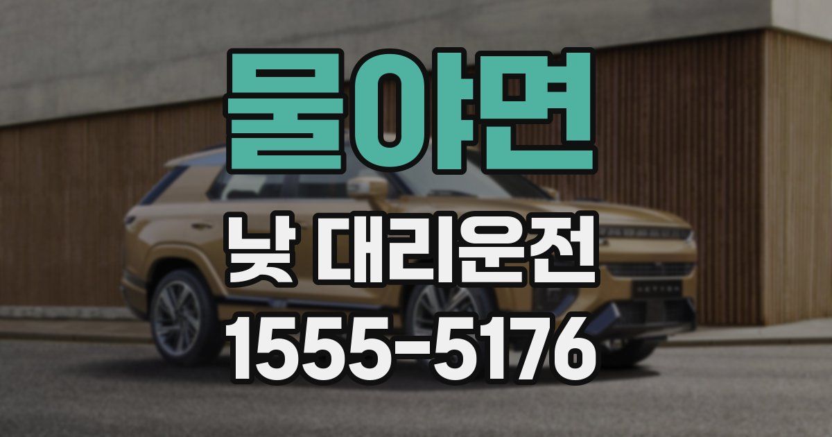 물야면 낮 대리운전