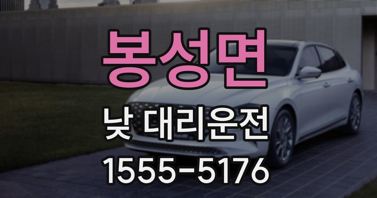 봉성면 낮 대리운전