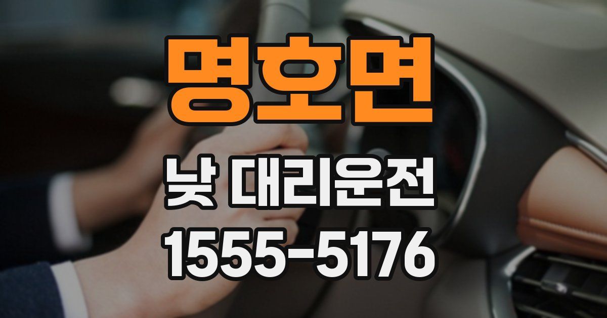 명호면 낮 대리운전