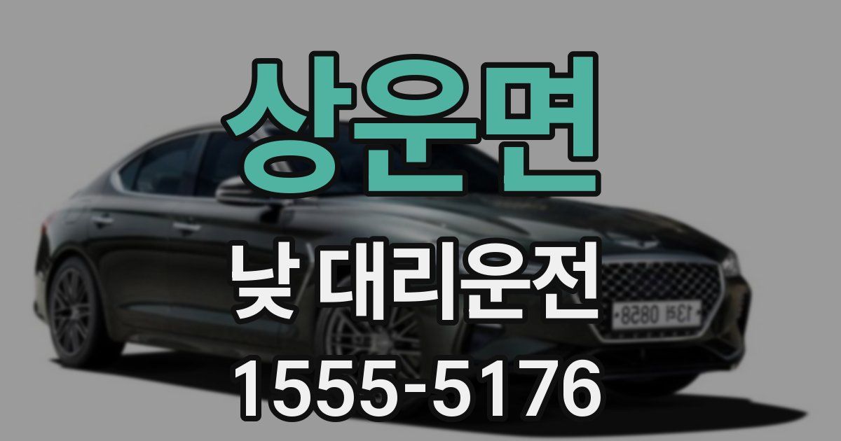 상운면 낮 대리운전