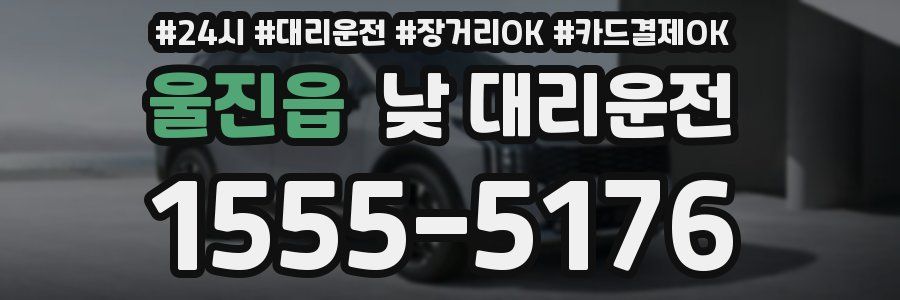 울진읍 낮 대리운전