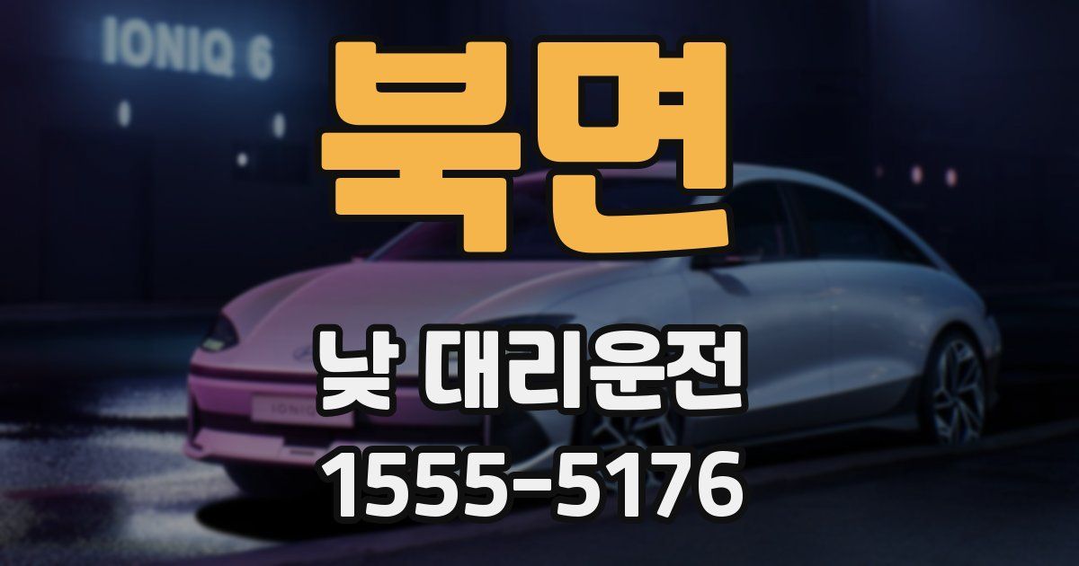 북면 낮 대리운전