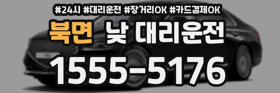 북면 낮 대리운전