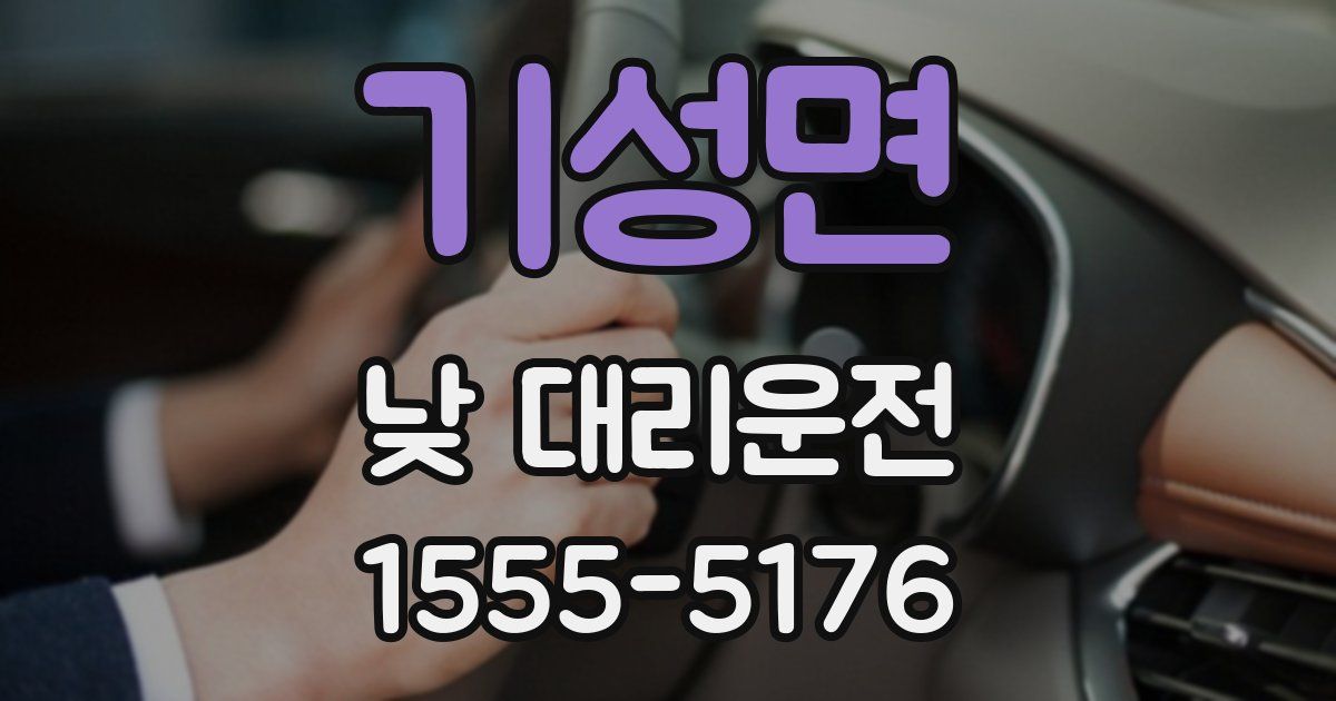 기성면 낮 대리운전