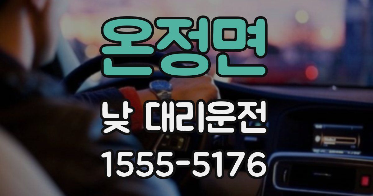 온정면 낮 대리운전
