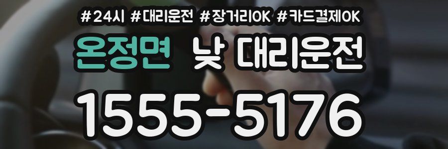 온정면 낮 대리운전
