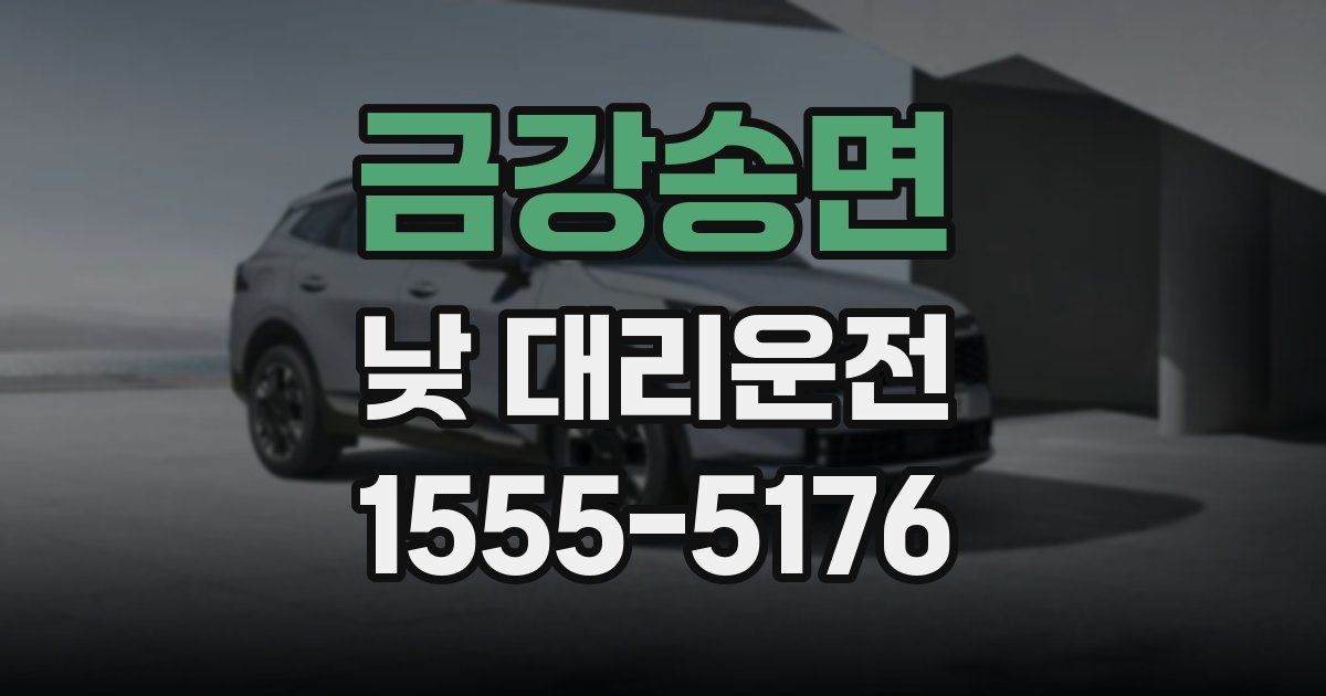 금강송면 낮 대리운전
