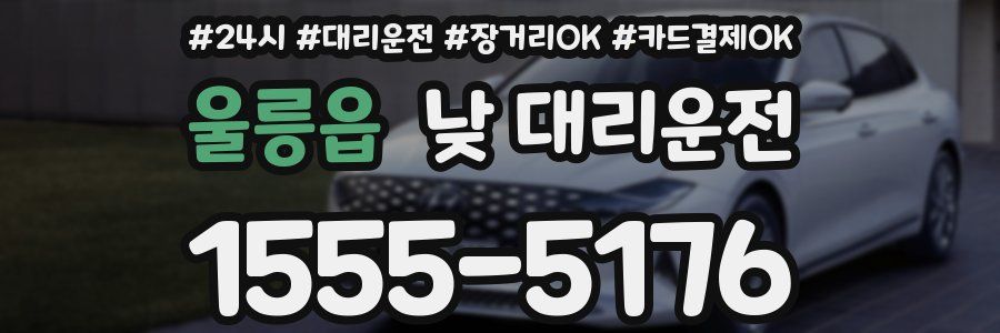 울릉읍 낮 대리운전