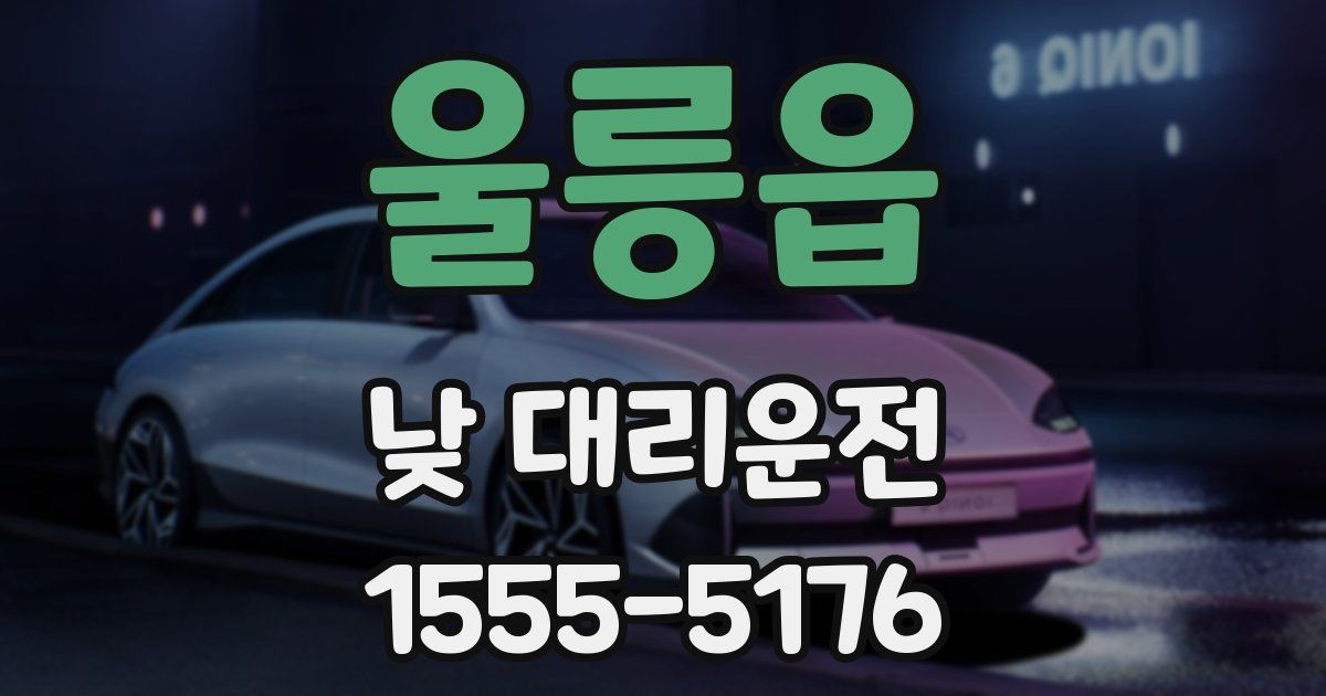 울릉읍 낮 대리운전