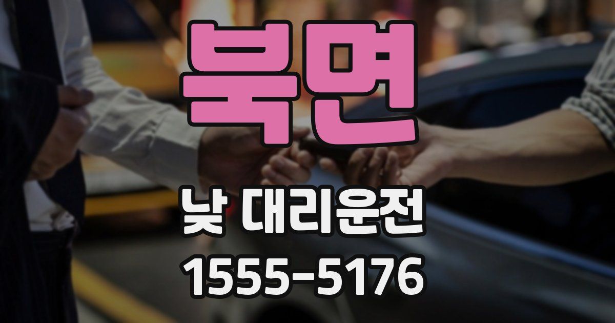 북면 낮 대리운전