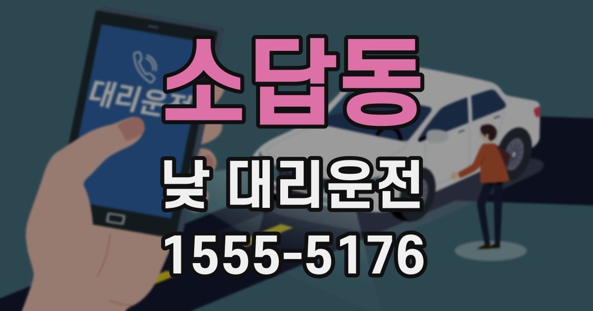 소답동 낮 대리운전