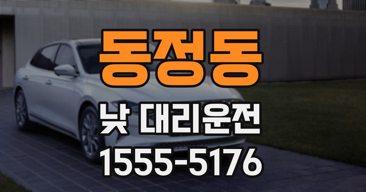 동정동 낮 대리운전