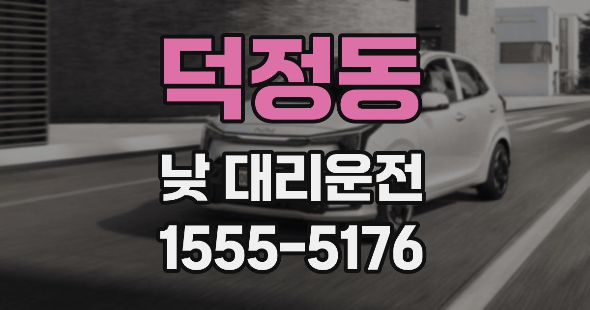 덕정동 낮 대리운전