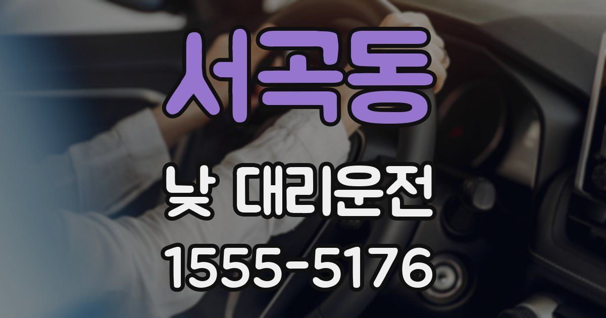 서곡동 낮 대리운전