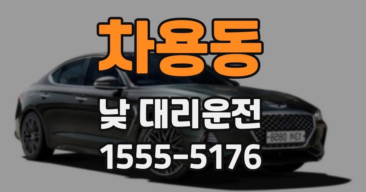 차용동 낮 대리운전