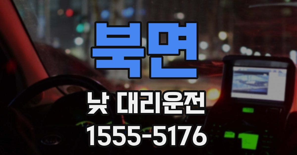 북면 낮 대리운전