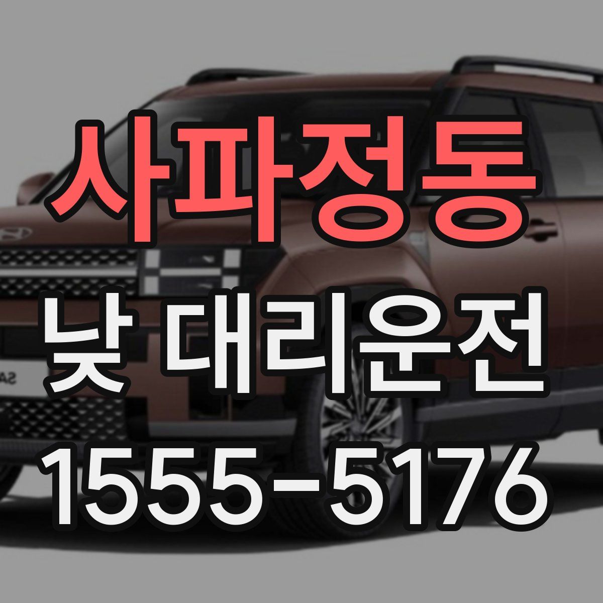 사파정동 낮 대리운전
