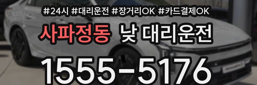 사파정동 낮 대리운전