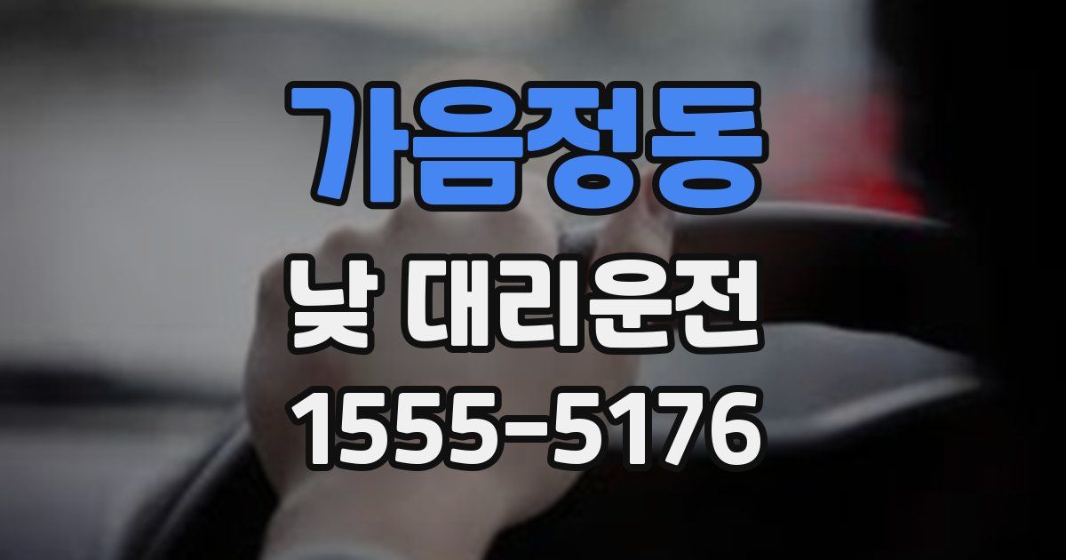 가음정동 낮 대리운전