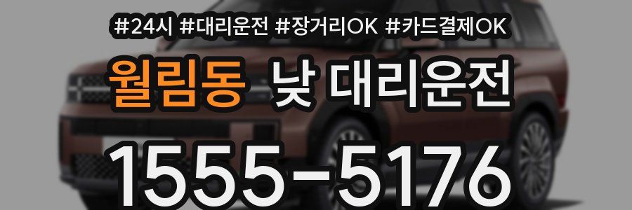 월림동 낮 대리운전