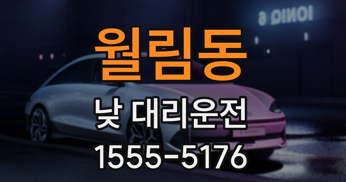 월림동 낮 대리운전