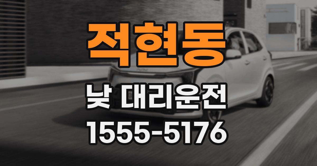적현동 낮 대리운전