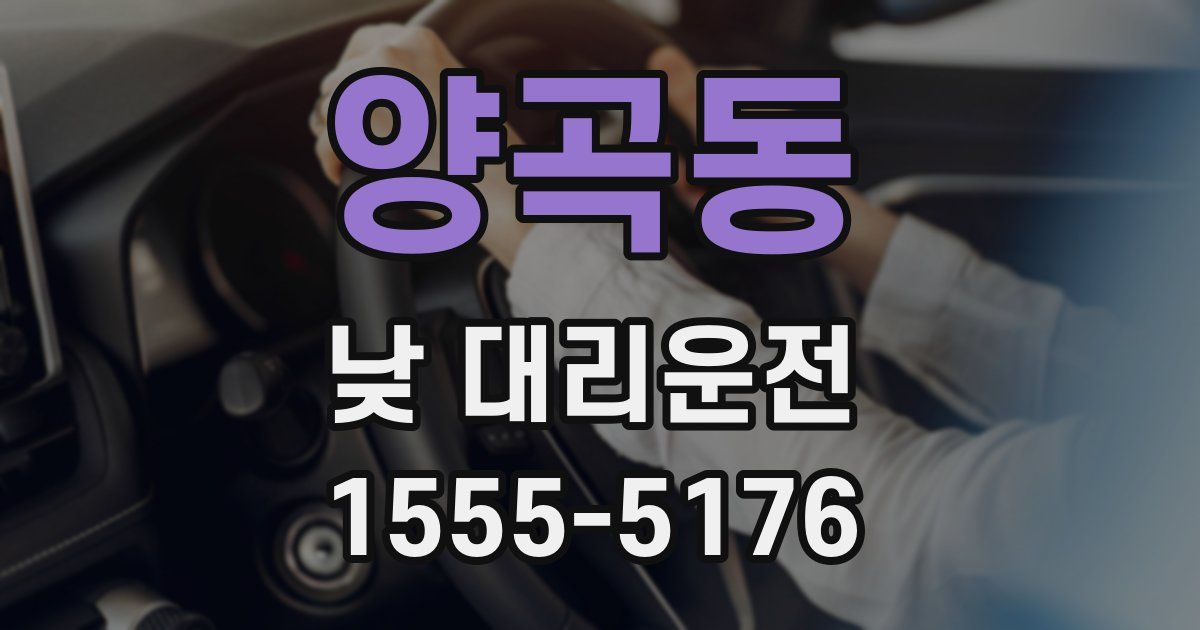 양곡동 낮 대리운전