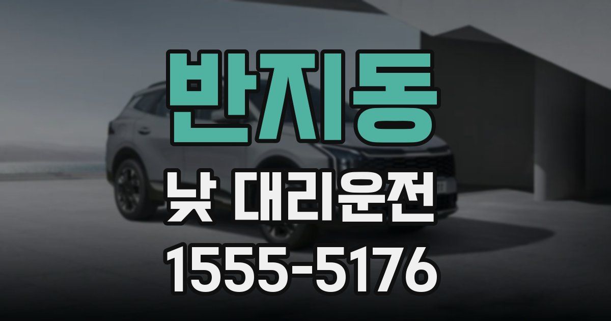반지동 낮 대리운전