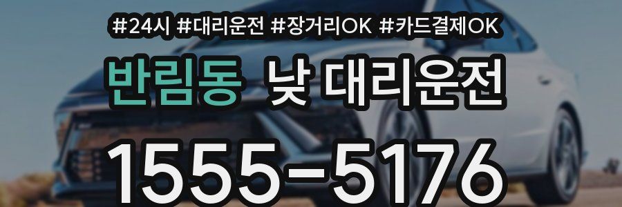 반림동 낮 대리운전
