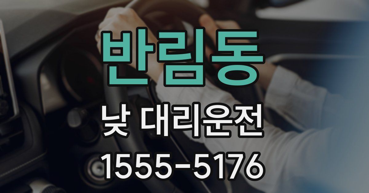 반림동 낮 대리운전