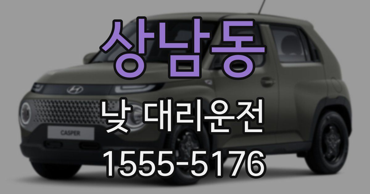 상남동 낮 대리운전