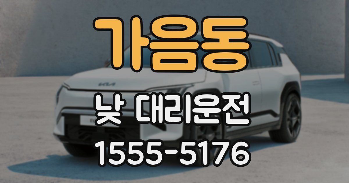 가음동 낮 대리운전
