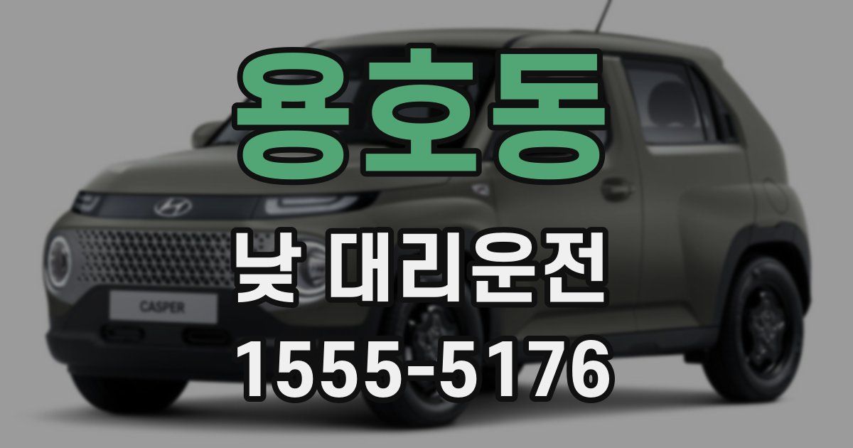용호동 낮 대리운전