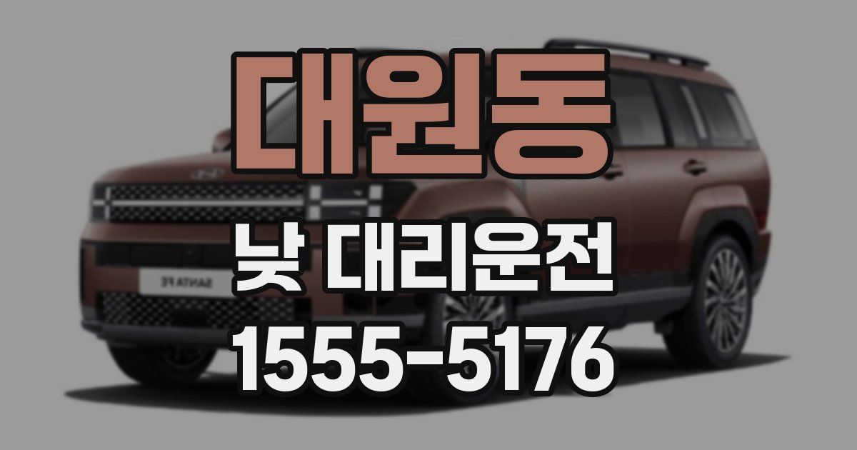대원동 낮 대리운전