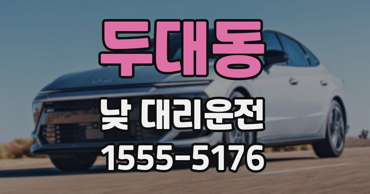 두대동 낮 대리운전