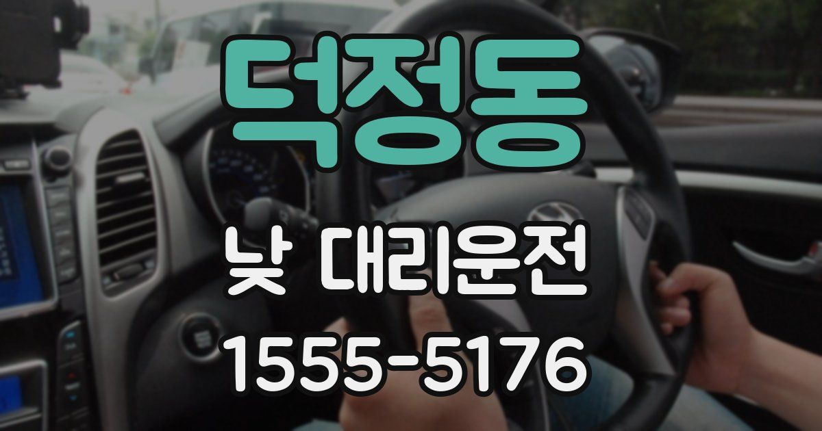 덕정동 낮 대리운전