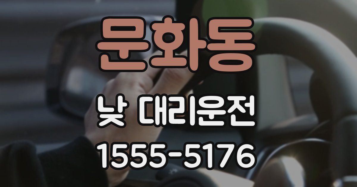 문화동 낮 대리운전
