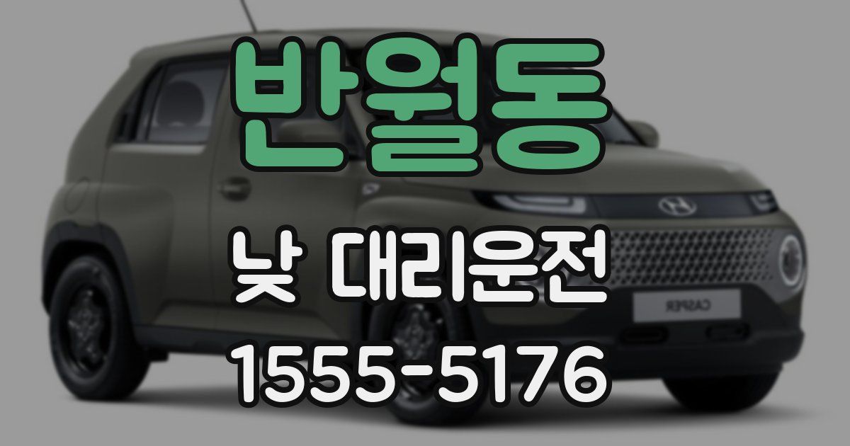 반월동 낮 대리운전