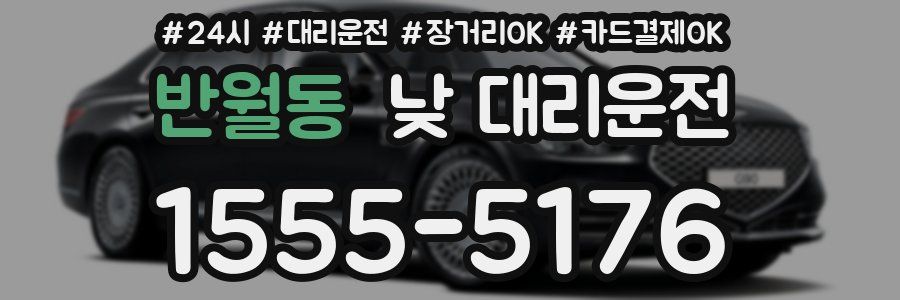 반월동 낮 대리운전