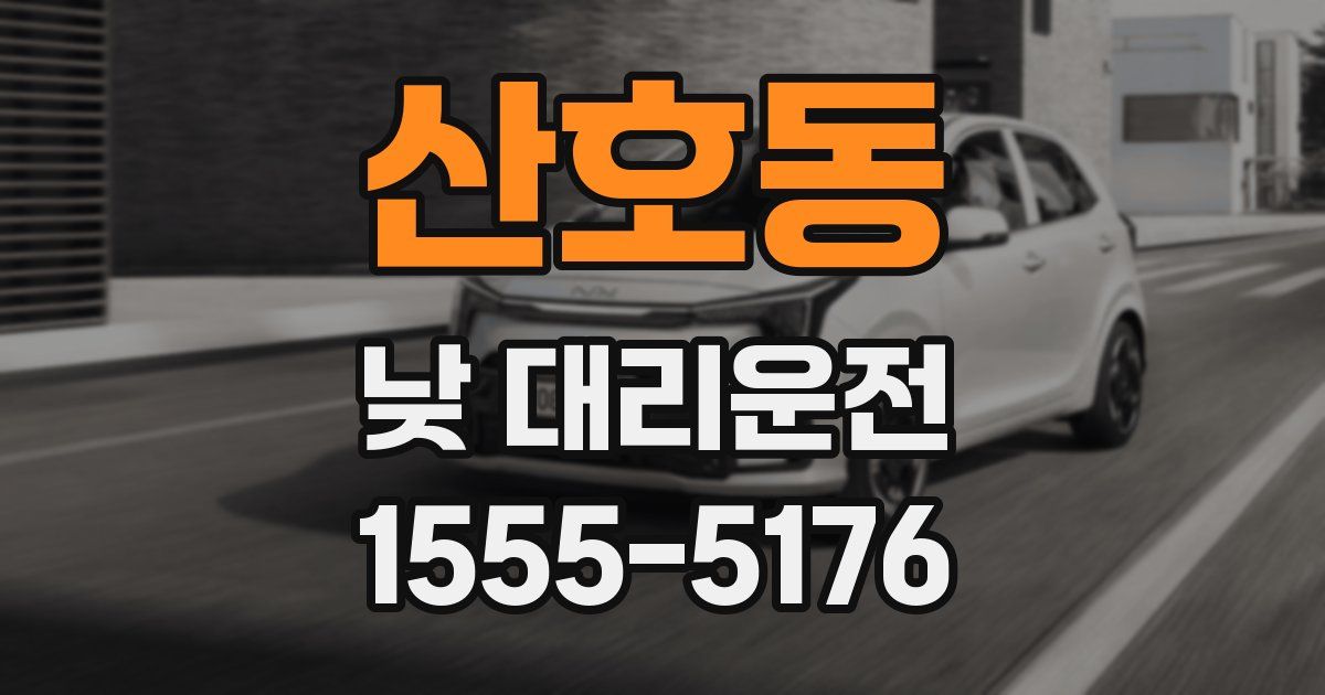 산호동 낮 대리운전