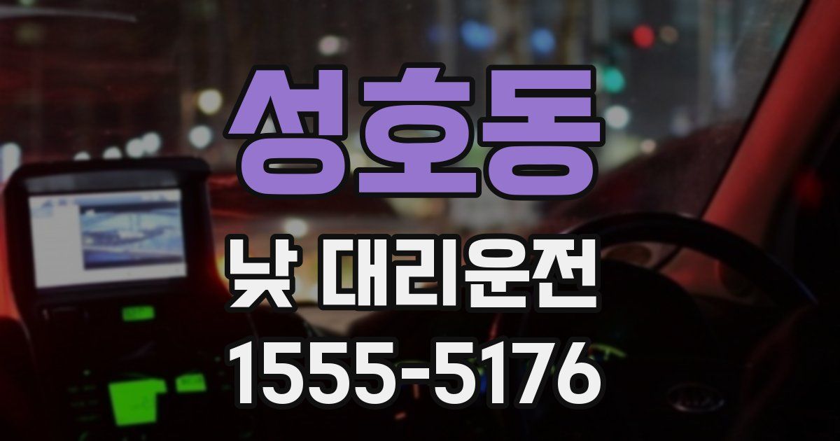 성호동 낮 대리운전