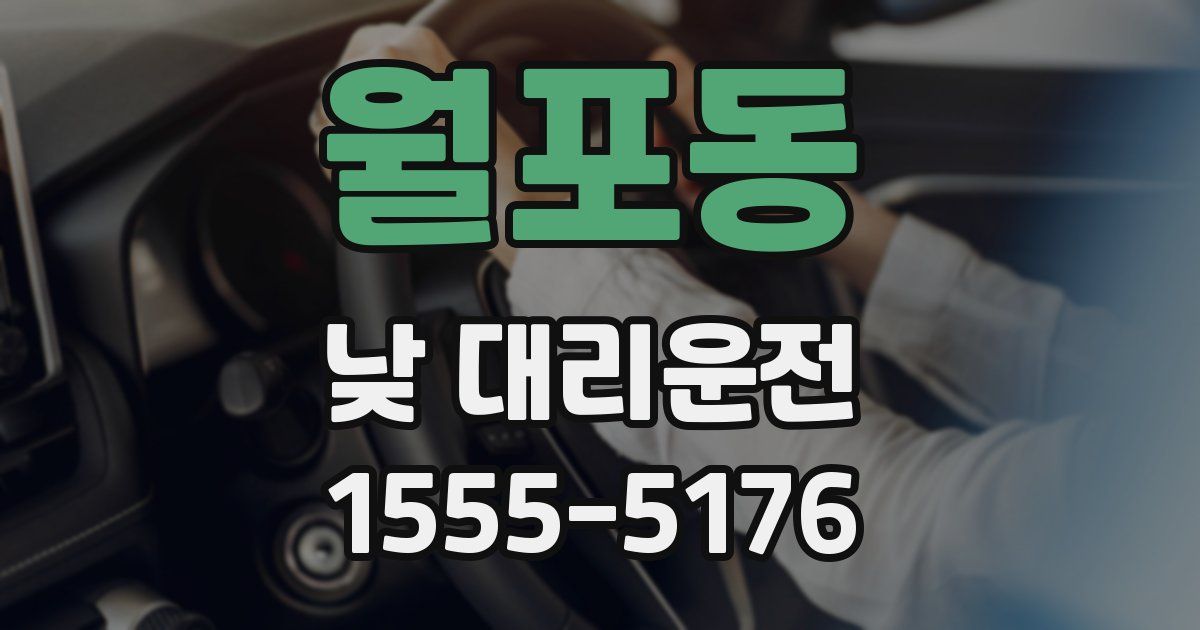 월포동 낮 대리운전