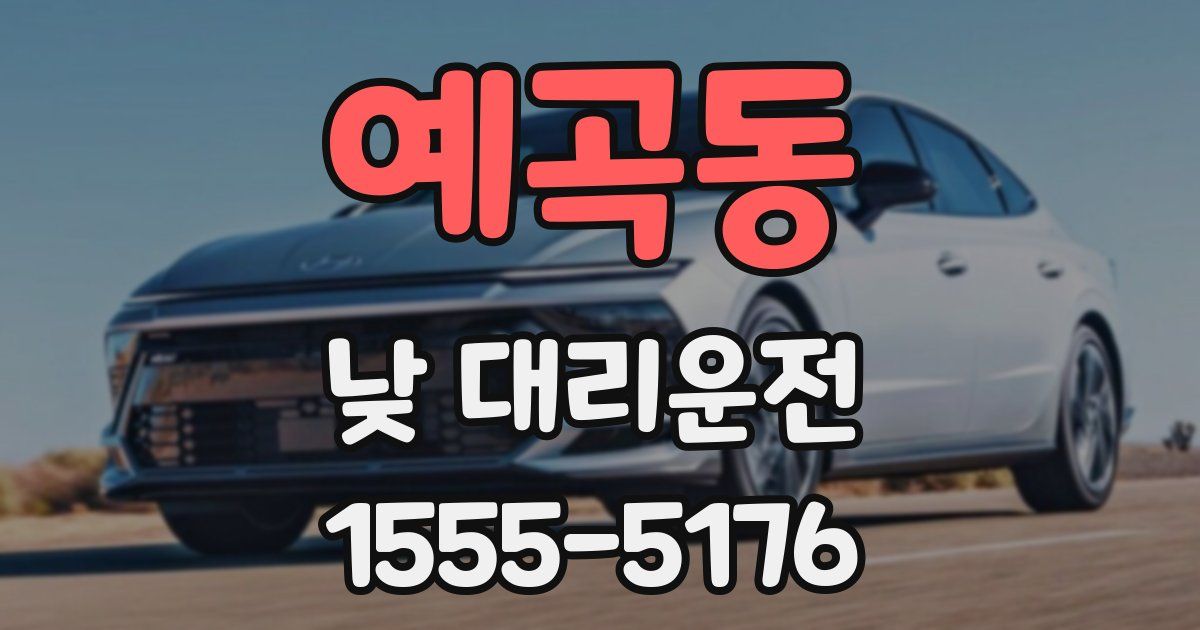 예곡동 낮 대리운전