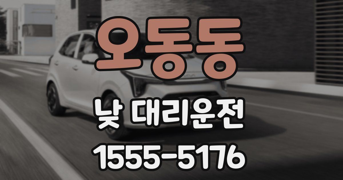 오동동 낮 대리운전