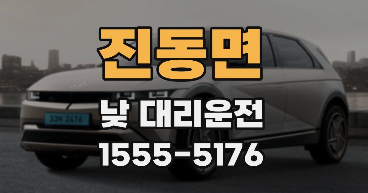 진동면 낮 대리운전