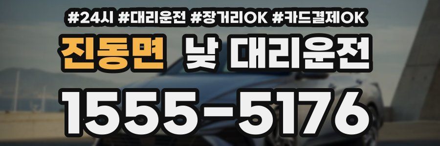 진동면 낮 대리운전